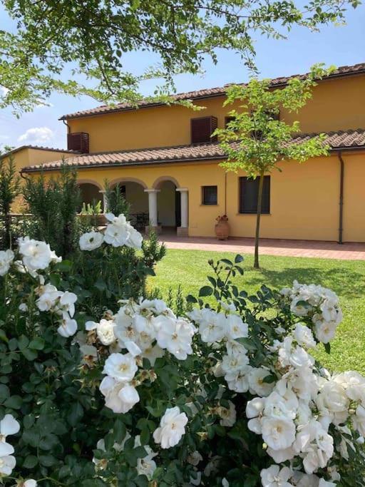Apartamento Il Casale Limite Exterior foto